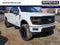 2025 Ford F-150 XLT Valor Package