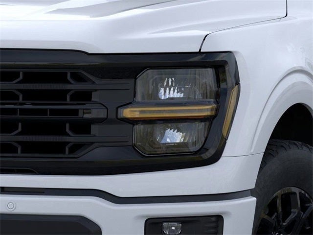 2025 Ford F-150 XLT Valor Package